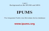 The Integrated Public Use Microdata Series database