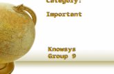 Knowsys Group 9