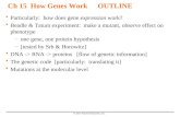 Ch 15  How Genes WorkOUTLINE