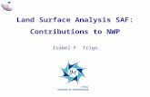 Land Surface Analysis SAF: Contributions to NWP Isabel F. Trigo