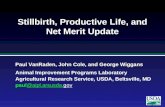 Stillbirth, Productive Life, and Net Merit Update