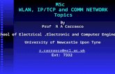 MSc   WLAN, IP/TCP and COMM NETWORK Topics