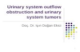 Urinary system outflow obstruction and urinary system tumors