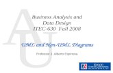 Business Analysis and Data Design ITEC-630  Fall 2008