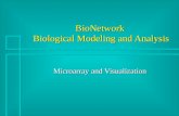 BioNetwork  Biological Modeling and Analysis