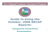 New England Common Assessment Program