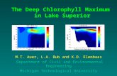 The Deep Chlorophyll Maximum  in Lake Superior