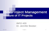 SW Project Management Nature of IT Projects