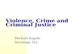 Violence, Crime and Criminal Justice