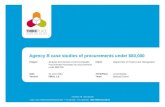 Agency B case studies of procurements under $80,000