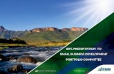 IDFC  PRESENTATION   TO SMALL BUSINESS DEVELOPMENT PORTFOLIO COMMITTEE