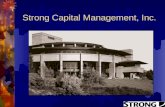 Strong Capital Management, Inc.