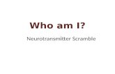 Neurotransmitter Scramble