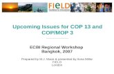 Upcoming Issues for COP 13 and COP/MOP 3 ______________