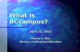What is BCcampus?