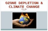 OZONE DEPLETION & CLIMATE CHANGE (Ch 20)