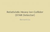 Relativistic Heavy Ion Collider (STAR Detector)