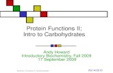 Protein Functions II; Intro to Carbohydrates