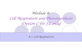 Module 8 : Cell Respiration and Photosynthesis (Option C for SL only)