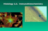 Histology 1.2.:  Immunohistochemistry