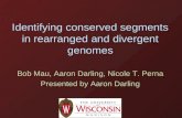 Identifying conserved segments in rearranged and divergent genomes