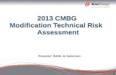 2013 CMBG  Modification Technical Risk   Assessment