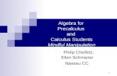 Algebra for  Precalculus  and  Calculus Students Mindful Manipulation
