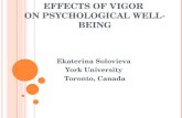 Effects of Vigor  on Psychological Well-Being