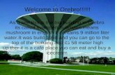 Welcome to Orebro!!!!!!