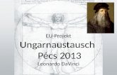 EU-Projekt Ungarnaustausch  Pécs 2013 Leonardo  DaVinci