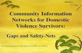 Community Information Networks for Domestic Violence Survivors: