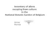 Inventory  of  aliens escaping from  culture  in the  National  Botanic  Garden of  Belgium
