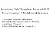 Identifying High Throughput Paths in 802.11 Mesh Networks : A Model-based Approach