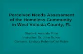 Perceived Needs Assessment of the Homeless Community  in West Volusia County, FL