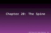 Chapter 20: The Spine