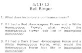 4/11/ 12 Bell Ringer