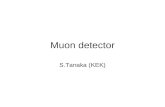 Muon detector