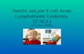 Notch1 and pre-T-cell Acute Lymphoblastic Leukemia  (T-ALL) by Lindsey Wilfley