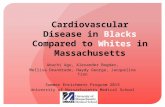 Cardiovascular Disease in  Blacks  Compared to  Whites  in  Massachusetts