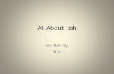All About Fish