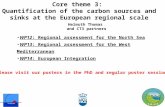 Core theme 3:  Quantification of the carbon sources and sinks at the European regional scale