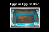 Eggs in Egg Basket