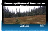 Forestry/Natural  Resources Plants