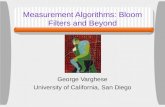 Measurement Algorithms: Bloom Filters and Beyond