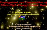 Propagation and Composition of  Ultra High Energy Cosmic Rays