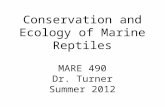 Conservation and Ecology of Marine Reptiles MARE 490 Dr. Turner Summer 2012