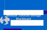 Information Literacy Modular Tutorials through Blackboard