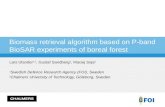 Biomass retrieval algorithm based on P-band BioSAR experiments of boreal forest