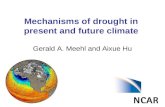 Mechanisms of drought in present and future climate