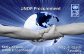 UNDP  Procurement